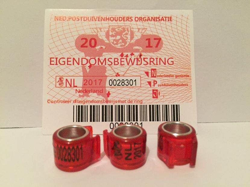  - 1 Inele Tari Straine 2017 cu talon