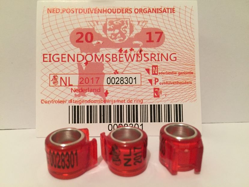  - 1 Inele Tari Straine 2017 cu talon