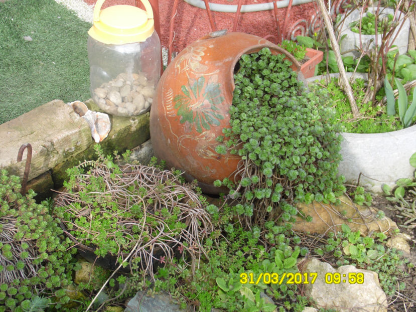 SAM_1217 - MARTIE-APRILIE 2017