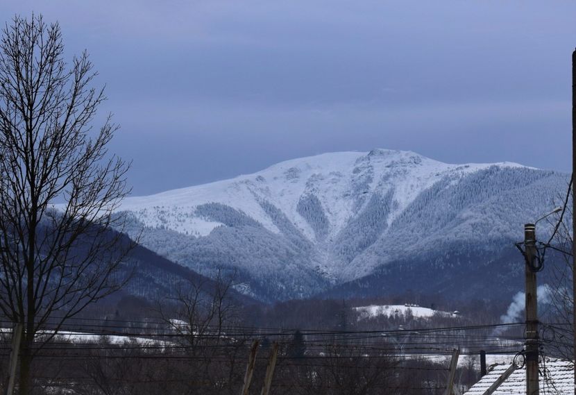  - Photo 06