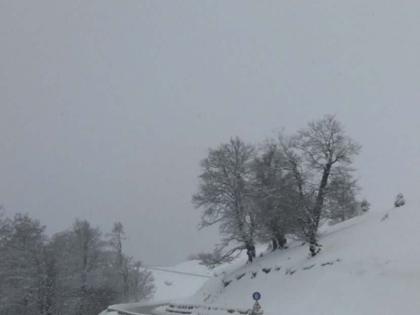  - Ranca aprilie 2017