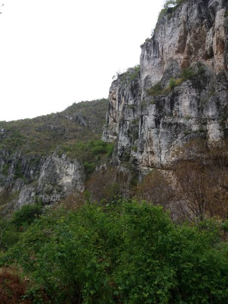  - Valea Sohodolului aprilie 2017