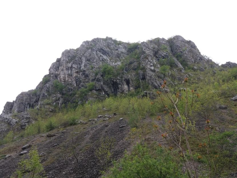  - Valea Sohodolului aprilie 2017