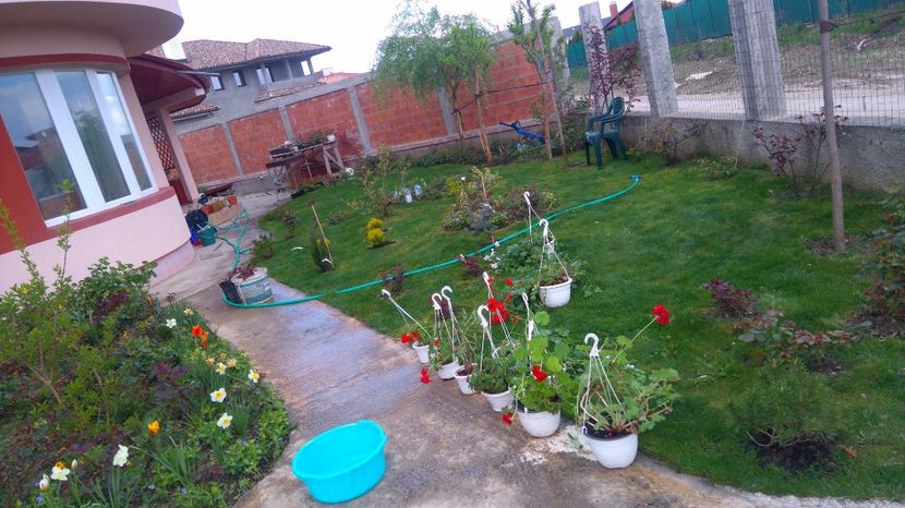  - Plante de interior