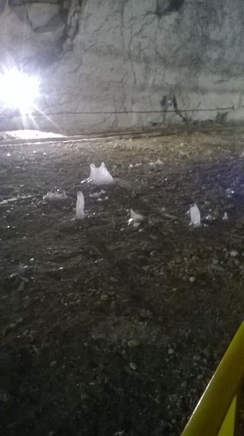  - vizita la Pestera Ialomitei