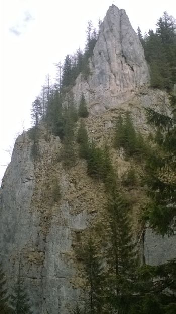  - vizita la Pestera Ialomitei