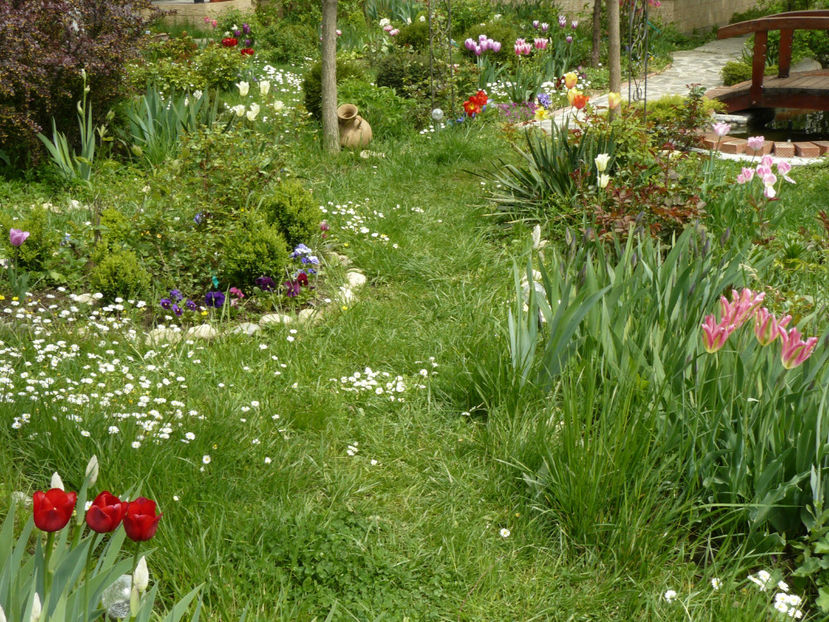 P1260881 - 2017_Aprilie_Gradina Rozelor