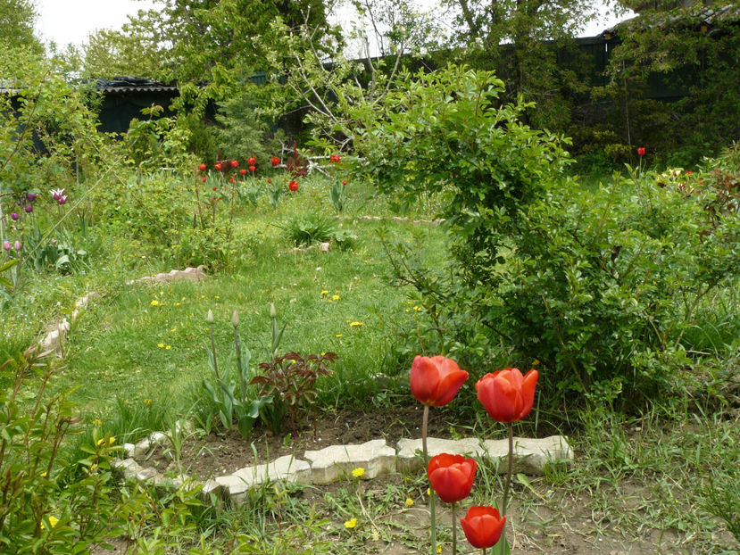 Apeldoorne - 2017 Aprilie_Idilic Garden