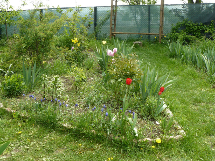 23Aprilie Contemplation hill - 2017 Aprilie_Idilic Garden