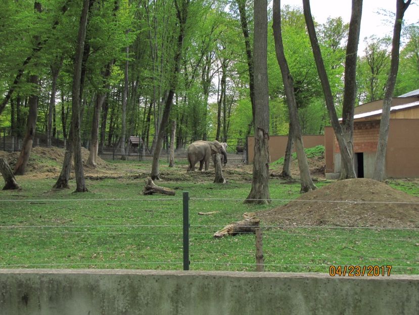  - Zoo Targu Mures