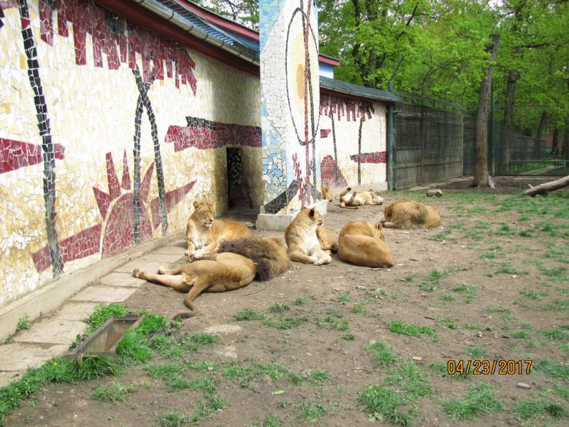  - Zoo Targu Mures
