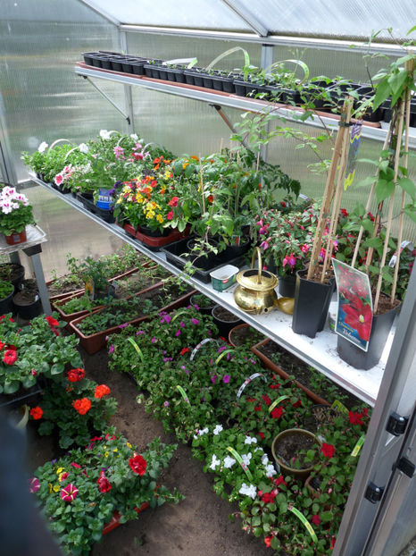 Iarna in aprilie,  -7°C in zori, ger uscat - 2017 - 01 - Primavara