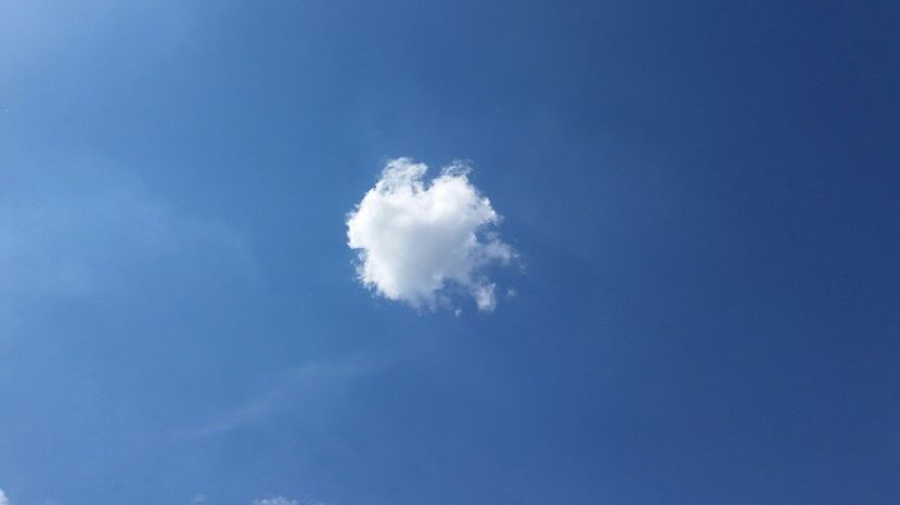 RABADABA_20170423_144044_2007784470 - Comana Manastirea Comana Delta Nejlovului Parcul de Aventura Comana