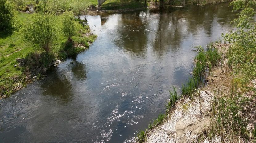 RABADABA_20170423_143143_-1235436576 - Comana Manastirea Comana Delta Nejlovului Parcul de Aventura Comana