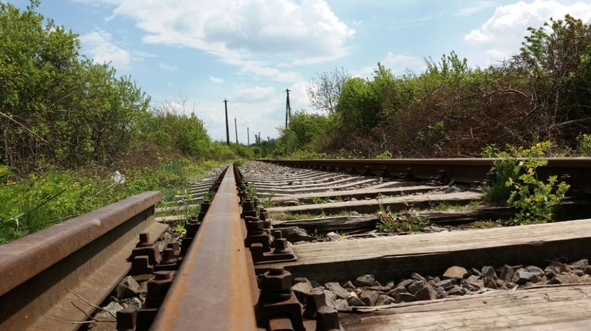 RABADABA_20170423_142107_-2011113859 - Comana Manastirea Comana Delta Nejlovului Parcul de Aventura Comana