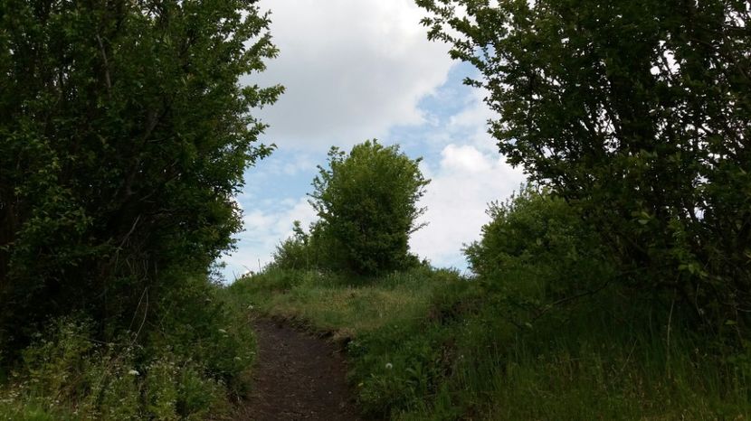 RABADABA_20170423_141844_795661650 - Comana Manastirea Comana Delta Nejlovului Parcul de Aventura Comana