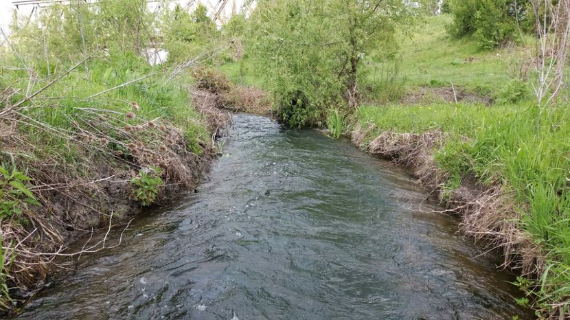 RABADABA_20170423_141730_-712722165 - Comana Manastirea Comana Delta Nejlovului Parcul de Aventura Comana