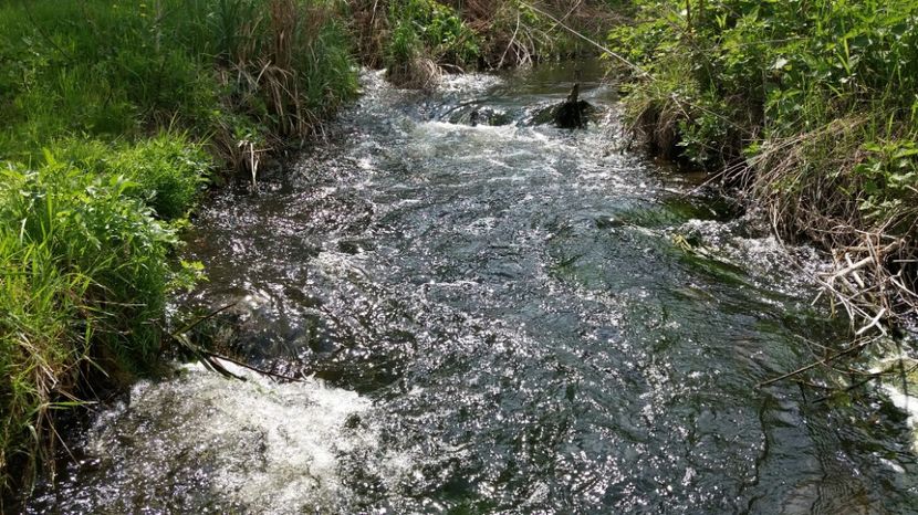 RABADABA_20170423_141629_1671079897 - Comana Manastirea Comana Delta Nejlovului Parcul de Aventura Comana