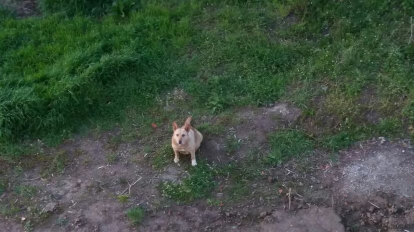 RABADABA_20170422_194837_1539816927 - Comana Manastirea Comana Delta Nejlovului Parcul de Aventura Comana