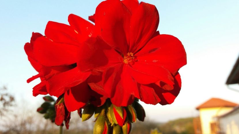 RABADABA_20170422_193713_-640782631 - Comana Manastirea Comana Delta Nejlovului Parcul de Aventura Comana