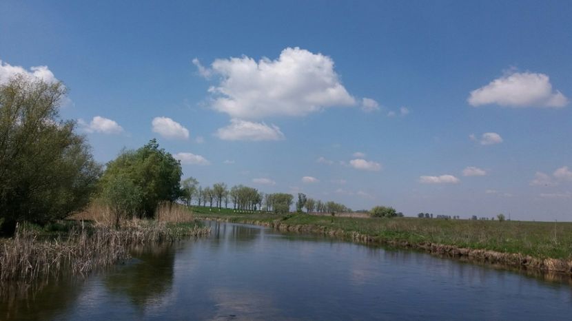 RABADABA_20170422_133239_-1976337882 - Comana Manastirea Comana Delta Nejlovului Parcul de Aventura Comana