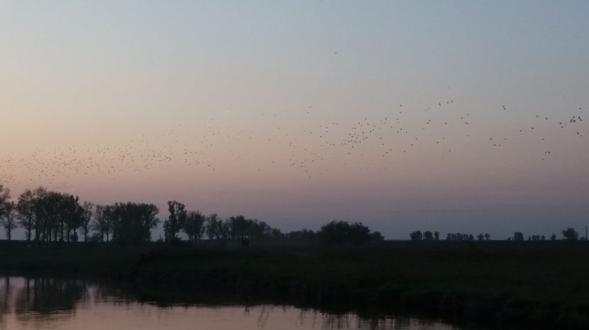  - Comana Manastirea Comana Delta Nejlovului Parcul de Aventura Comana