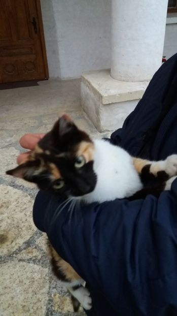  - Comana Manastirea Comana Delta Nejlovului Parcul de Aventura Comana