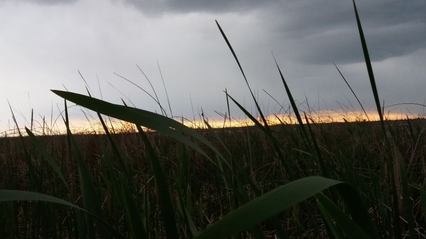  - Comana Manastirea Comana Delta Nejlovului Parcul de Aventura Comana