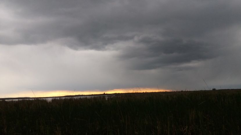  - Comana Manastirea Comana Delta Nejlovului Parcul de Aventura Comana