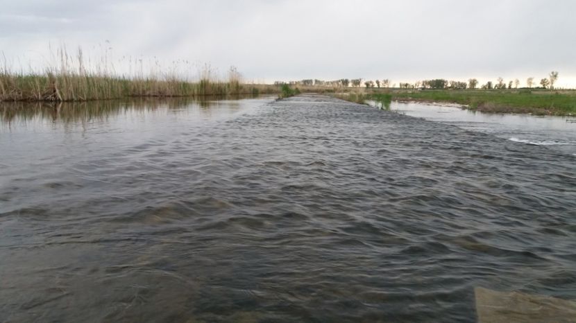  - Comana Manastirea Comana Delta Nejlovului Parcul de Aventura Comana