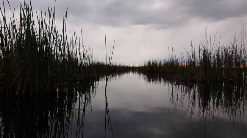  - Comana Manastirea Comana Delta Nejlovului Parcul de Aventura Comana