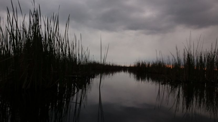  - Comana Manastirea Comana Delta Nejlovului Parcul de Aventura Comana