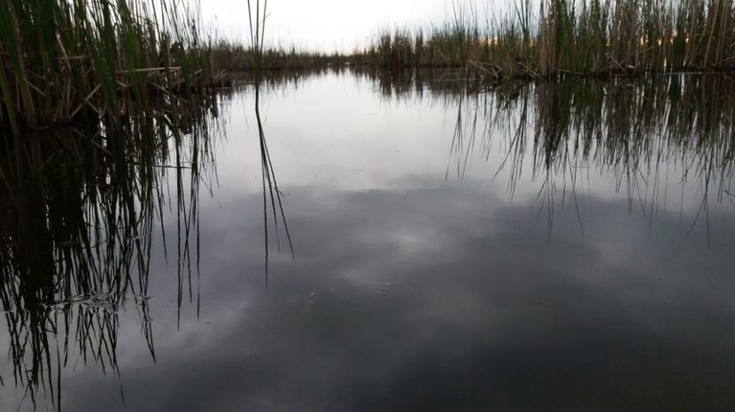  - Comana Manastirea Comana Delta Nejlovului Parcul de Aventura Comana