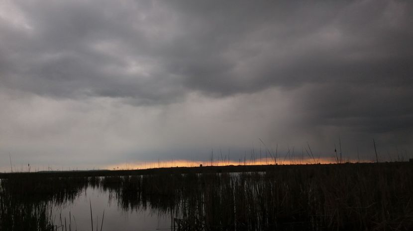  - Comana Manastirea Comana Delta Nejlovului Parcul de Aventura Comana