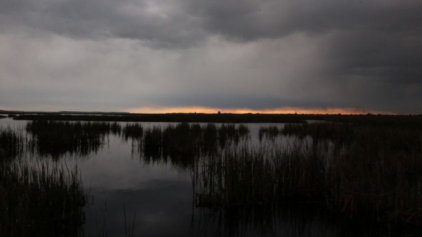  - Comana Manastirea Comana Delta Nejlovului Parcul de Aventura Comana