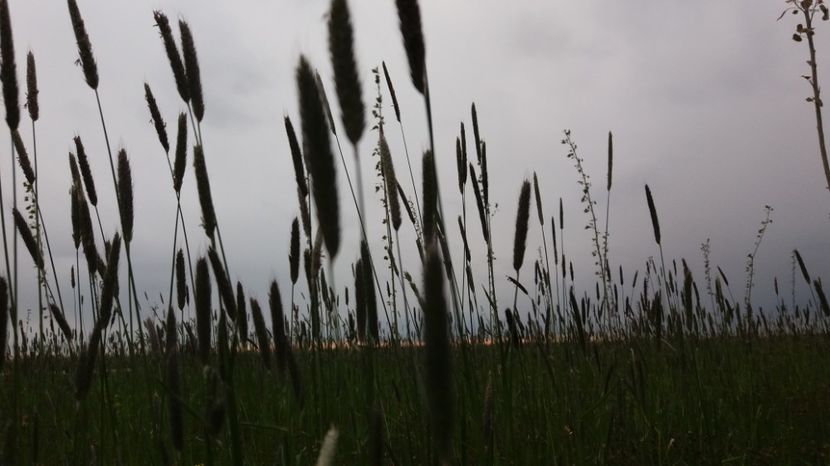  - Comana Manastirea Comana Delta Nejlovului Parcul de Aventura Comana
