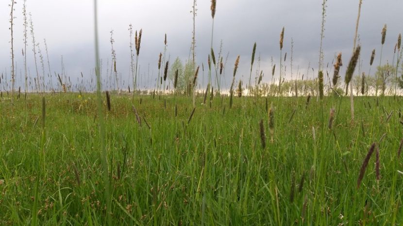  - Comana Manastirea Comana Delta Nejlovului Parcul de Aventura Comana