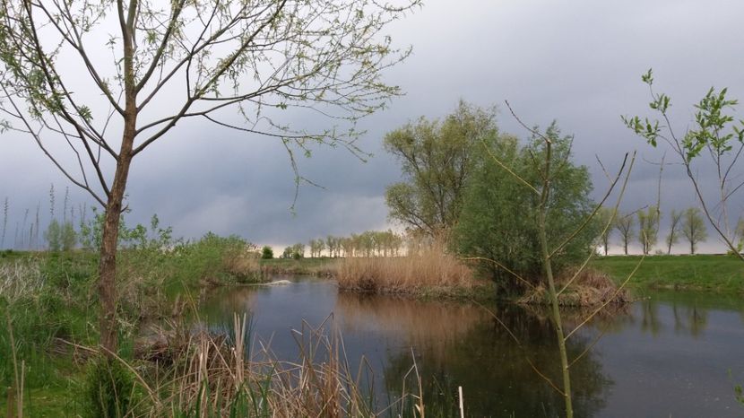  - Comana Manastirea Comana Delta Nejlovului Parcul de Aventura Comana