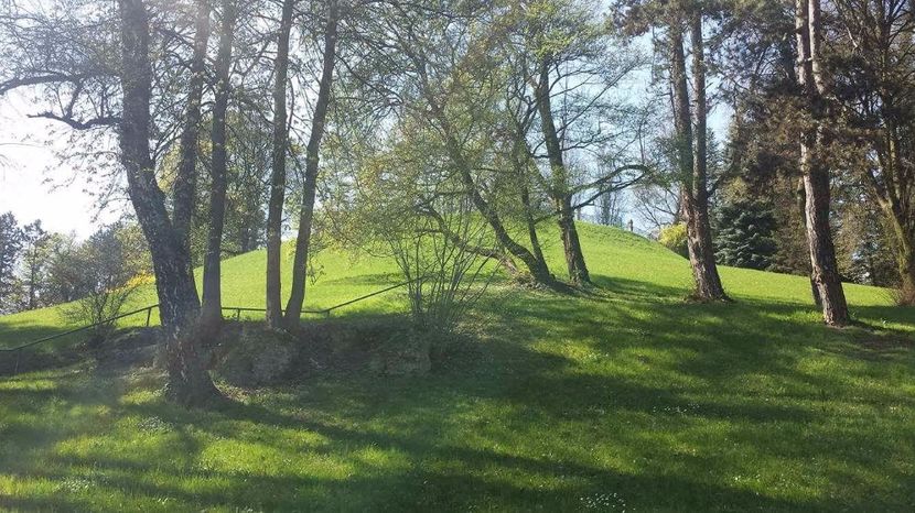  - Flori Linz Austria