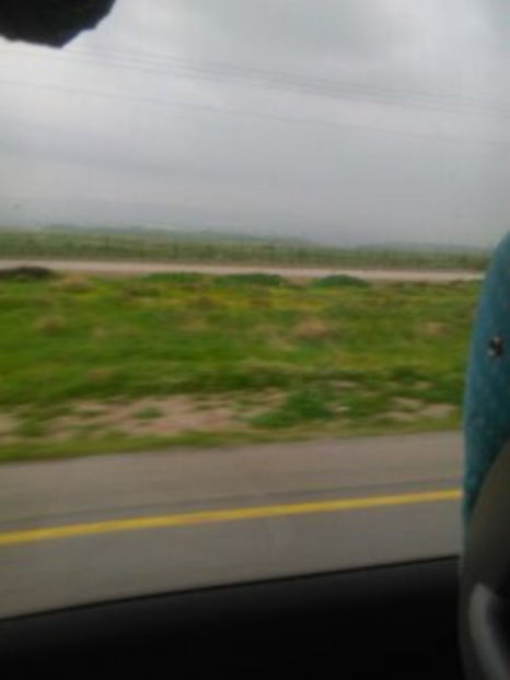  - poze de pe telefon