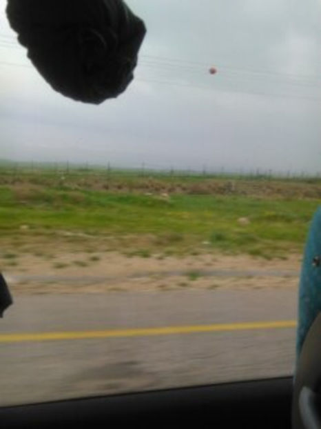  - poze de pe telefon