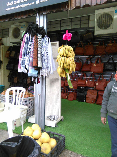  - poze de pe telefon