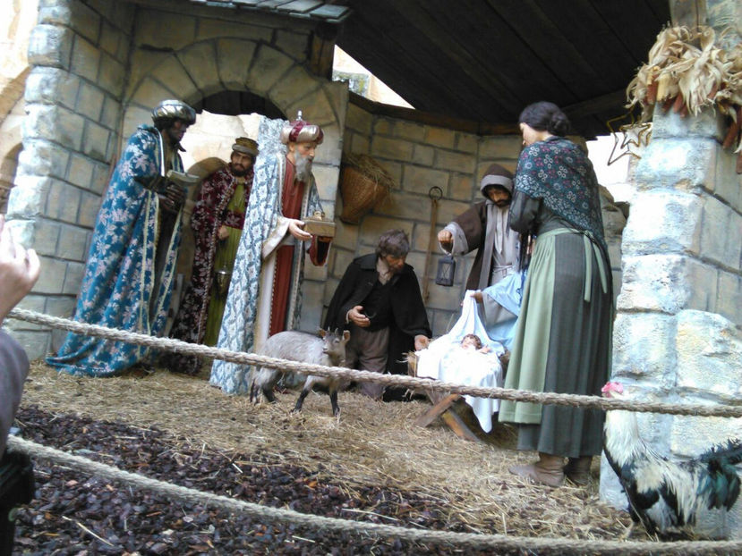  - poze de pe telefon