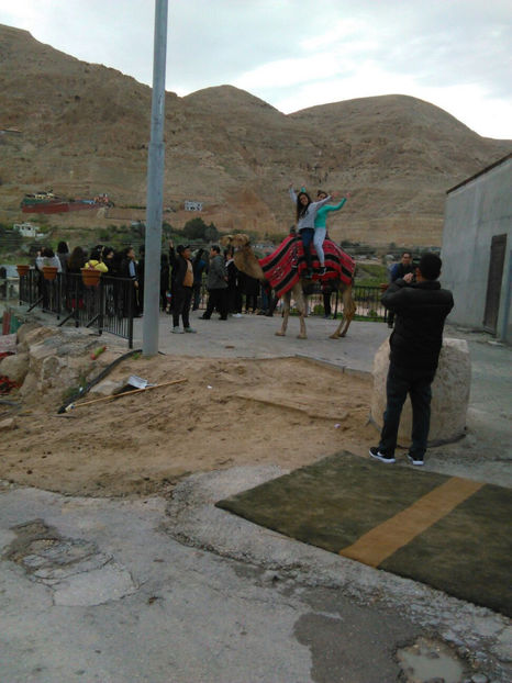  - poze de pe telefon