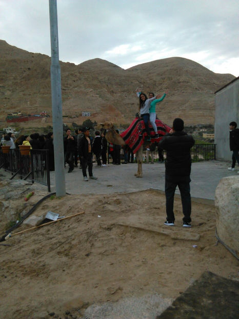  - poze de pe telefon