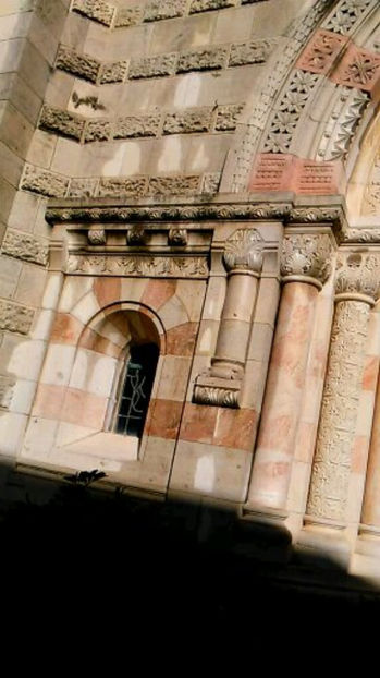  - poze de pe telefon