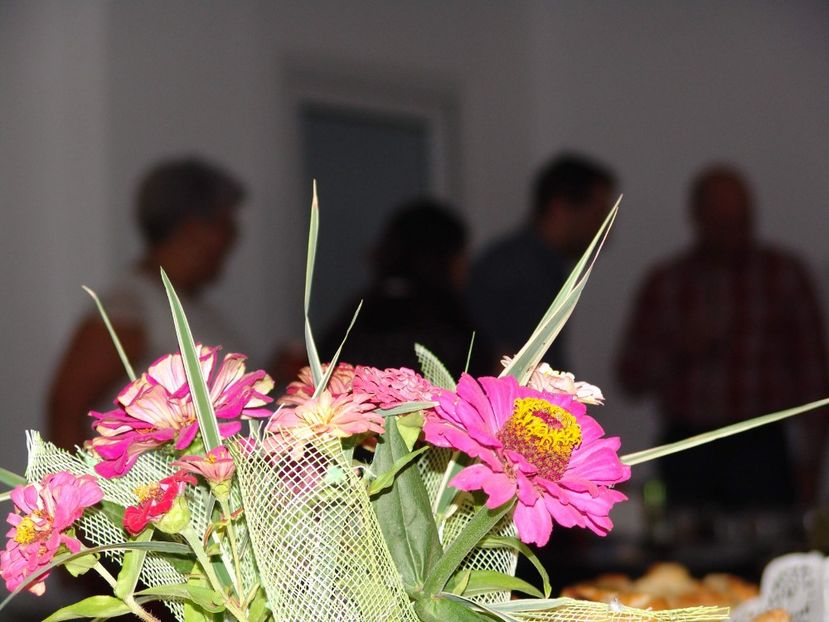 dsc05193_4027743502_o - 2010 PENSIONARE ANAMARIA