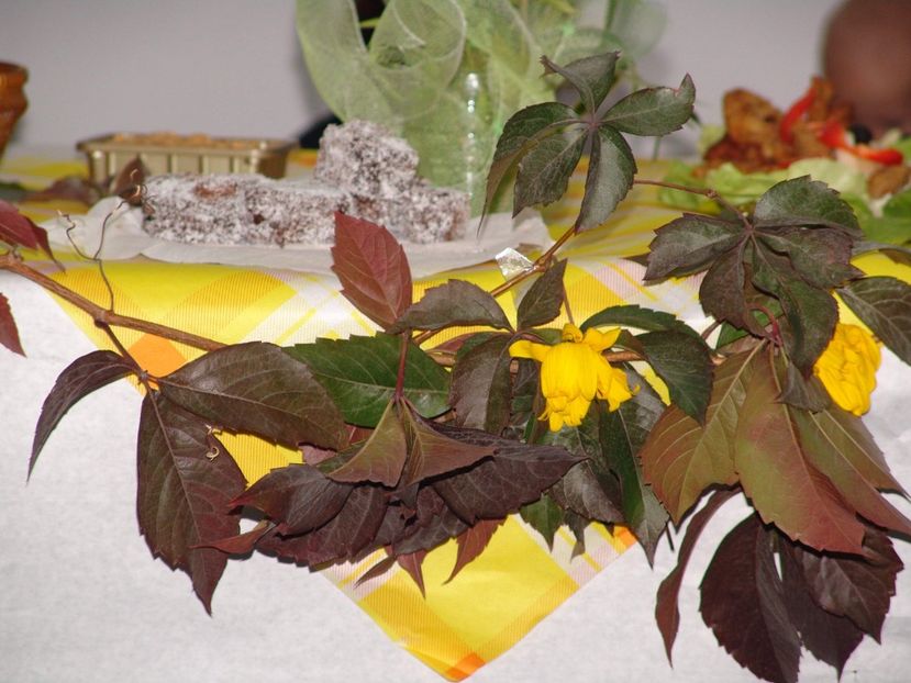 dsc05217_4027746024_o - 2010 PENSIONARE ANAMARIA