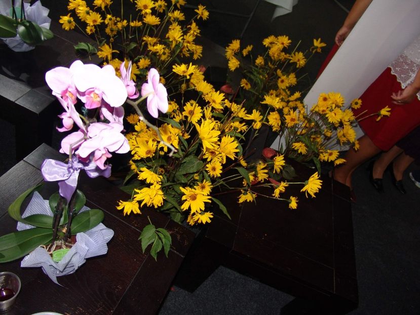 dsc05218_4026991329_o - 2010 PENSIONARE ANAMARIA