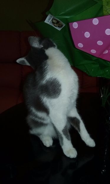 Nu ma cheama Gheorghe dar am primit  flori:))) - Aprilie 2017